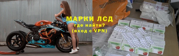 спиды Новодвинск