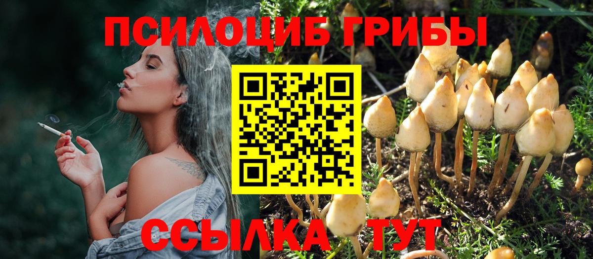 Псилоцибиновые грибы MAGIC MUSHROOMS Борисоглебск